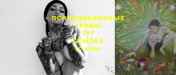 твердый Лиски