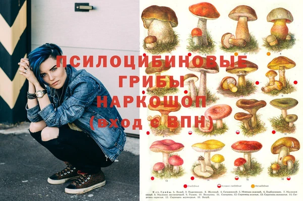 PSILOCYBIN Новокубанск