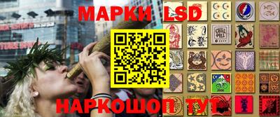 прущие грибы Кингисепп