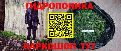 мяу мяу мука Камышлов