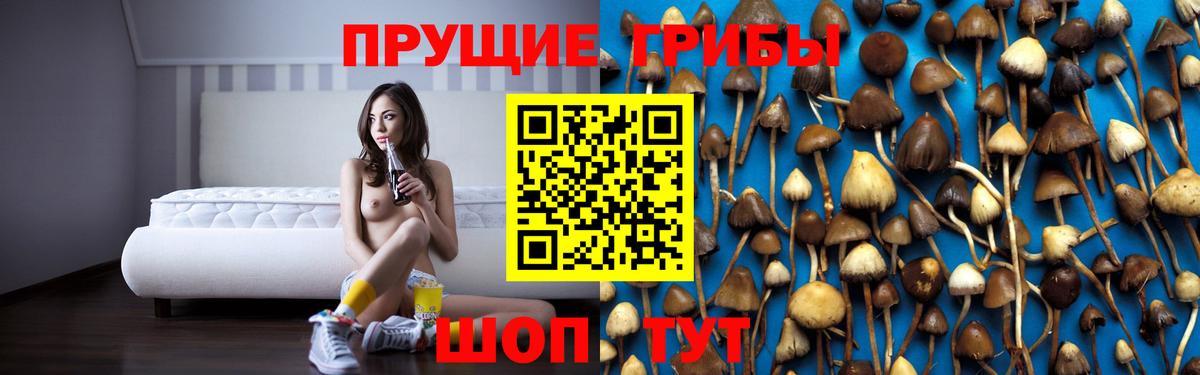 Псилоцибиновые грибы Cubensis  Вход с VPN  Оренбург 